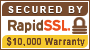 Image: RapidSSL Site Seal